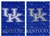 University of Kentucky Wildcats Suede Glitter Silk Flag