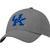 Nike Kentucky Wildcats Gray Swoosh Flex Hat