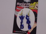 Acrylic French hook earrings - Kentucky