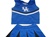 University of Kentucky Cheerleading Outfit