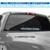 Kentucky Wildcats 2012 National Championship Decal for Auto Glass