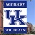 Kentucky Wildcats 28" x 40" Two-Sided Banner Flag