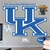 Kentucky Wildcats Team Logo Fathead Wall Sticker