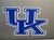 Kentucky Wildcats Interlocked logo magnet