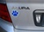 Kentucky Wildcats Paw magnet