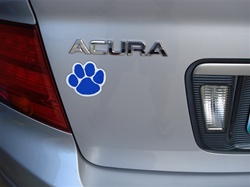 Kentucky Wildcats Paw magnet