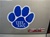 Kentucky Wildcats UK Paw Large Magnet