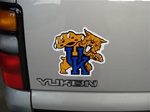 Kentucky Wildcats magnet