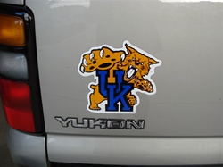 Kentucky Wildcats magnet