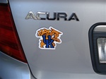 Kentucky Wildcats magnet