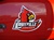 Louisville Cardinal Large Bird on the Wing Magnet