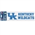 Kentucky Wildcats Perfect Cut Decal