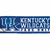 Kentucky Wildcats Vinyl Banner