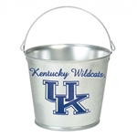 Kentucky Wildcats Landscape Logo Statute