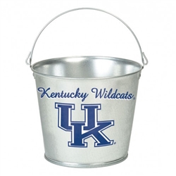 Kentucky Wildcats Landscape Logo Statute